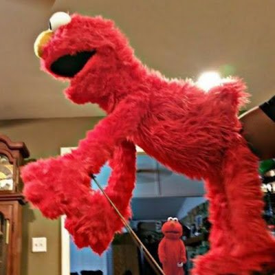 RafaelS91712901's profile picture. Rosa