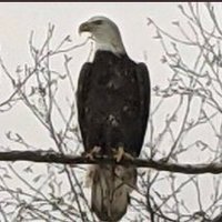 Proud TXn Deplorable 2.0 (@amydeplorabletx) 's Twitter Profile