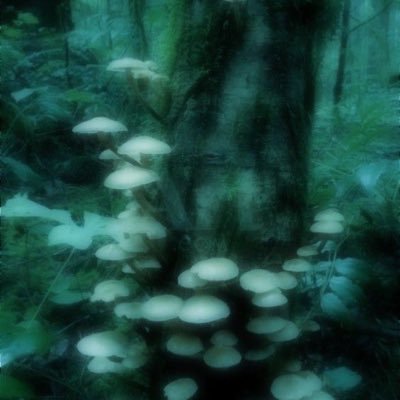 likeclockwork19's profile picture. she/her 🌊  vent acc ☁️