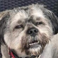 YourBestFriend (@learningyougood) 's Twitter Profile