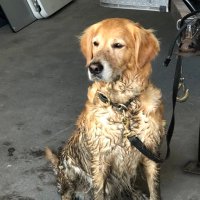 Chantal Benoit (@9benoit) 's Twitter Profile