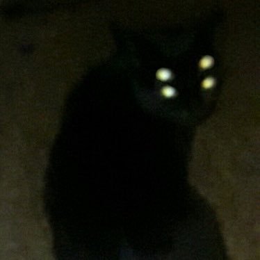 LoathedEnemy's profile picture. NSFW WARNING | 22 yrs old | She/They | Monster women enjoyer.