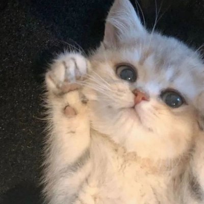phanitpol's profile picture. 