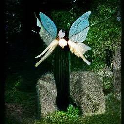 glamorgue's profile picture. you and i are earth