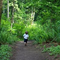 The Homeschool Co-op (@thehscoop) 's Twitter Profile