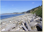 WIWriteCon's profile picture. This conference defies description, but being writers we will try: Friendly. Intimate. Charming. Creative. Islandy. World class. Register Now!