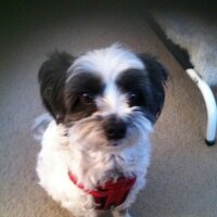 Minack Whitfield (@minack1) 's Twitter Profile