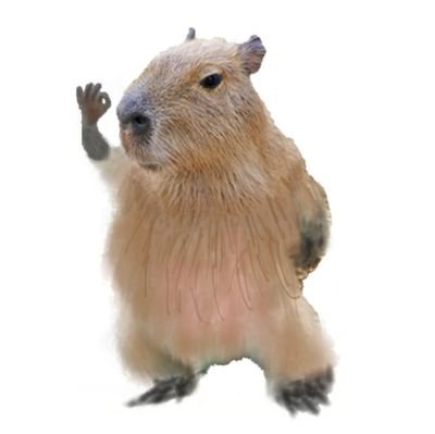 ev_fun_fan's profile picture. とっても楽しいクルマ、テスラ Model 3 に2020年9月から乗っています。自動運転の進化を見守っていきたいです。わくわくが止まらない。
Tesla購入リンク=https://t.co/oC9AIpFreJ、
povo紹介コード=L3ZR1S8B