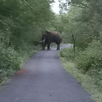 macchuss87's profile picture. Straight n simple