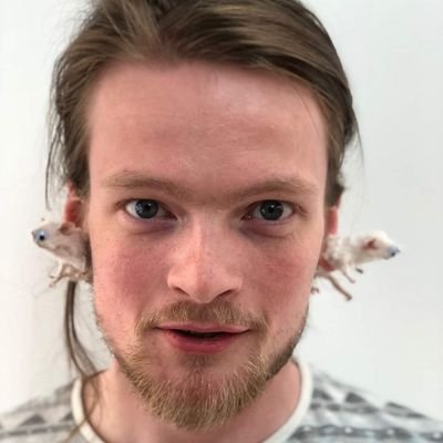 I make Bad Taxidermy, but this is to promote the only Fans that so many people asked me to do
https://t.co/5PIsdF50G4