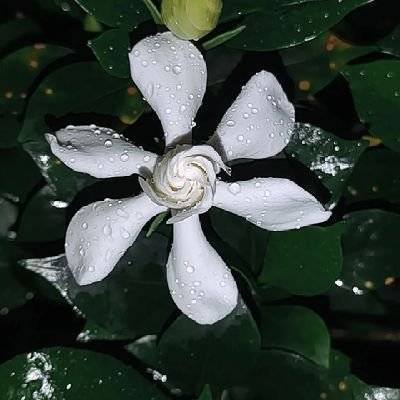 yujiaha02589969's profile picture. 