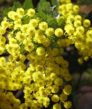 scootercoota's profile picture. Science teacher at the coal face.