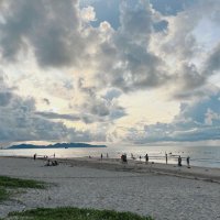 tuannguyen (@tuanngu59419303) 's Twitter Profile Photo