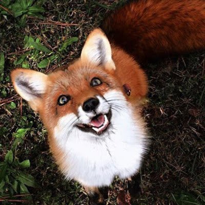 ukaszLisowski4's profile picture. LECHIA GDAŃSK