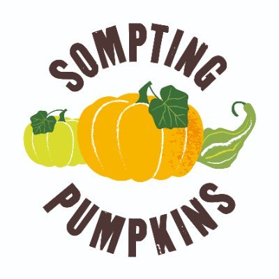 Now family managed! Thank you to everyone who supported us this October. Join us in October 2023 at Sompting Pumpkins, Halewick Ln, Sompting, Lancing BN15 0NE