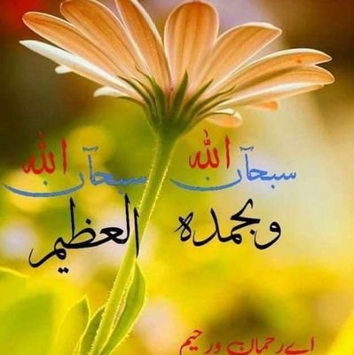 marif8662's profile picture. 