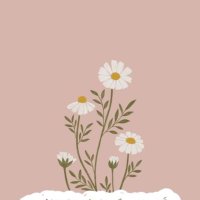ريم🧚🏻♂️. (@liilo96) 's Twitter Profile Photo ريم🧚🏻♂️. (@liilo96) 's Twitter Profile Photo