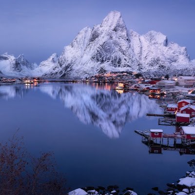 AmanMal91166043's profile picture. 