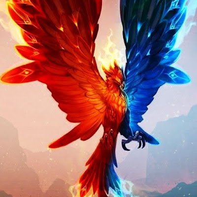 DeMazilian's profile picture. 