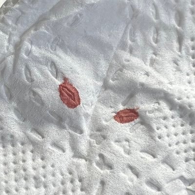 yangvission's profile picture. 没啥特别的