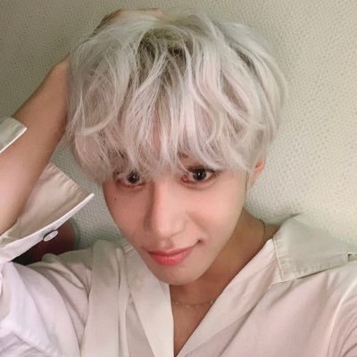 94ntidote's profile picture. reading acc |