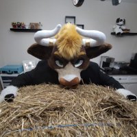 💎Diamond 💎🔜 FE (@diamond__bull) Twitter profile photo