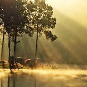 popwicklover82 (@popwicklover82) 's Twitter Profile