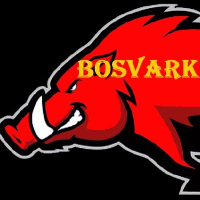 Bosvark Gaming