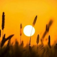 Добрая леди (@dobrajaledi) 's Twitter Profile