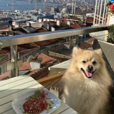 colaktaner's profile picture. 