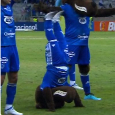 perfil não oficial do raposinho 💙🦊. fechado com o @cruzeiro