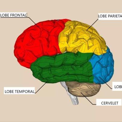 boun_tafsir's profile picture. je sais que je vais mourir, seulement je ne sais où et quand incha Allah ☝️ma place c'est au paradis
