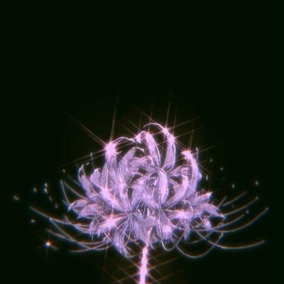 Sanhannn's profile picture. 