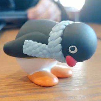 MCsTcslTRDn7TnK's profile picture. 2n L