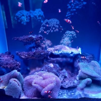 lovelyman_qd's profile picture. grew up in HCM