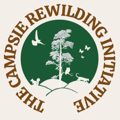 Restoring our native forests in the Campsie Fells & reconnecting communities with nature. Follow for news, updates, and how to get involved.