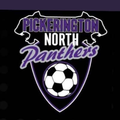 2x District Champions - 4x OCC Champions - 5x District Finalists - Instagram: PHSNSoccer