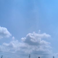 どらや (@ryuunofan) Twitter profile photo