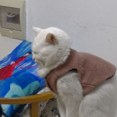 gzi101's profile picture. a real person