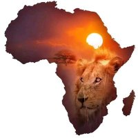 Perfect Pathfinder Africa(@UGpathfinder) 's Twitter Profile Photo