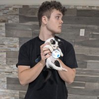 nicu (@nicucrypto) 's Twitter Profile Photo nicu (@nicucrypto) 's Twitter Profile Photo