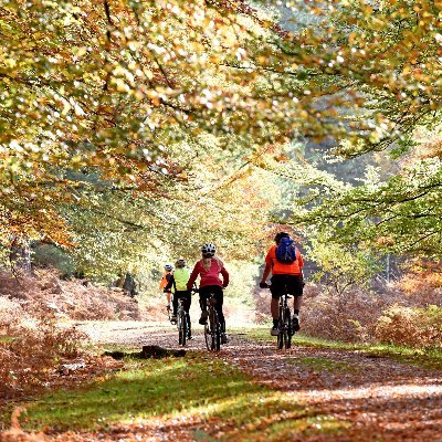 Updates from the New Forest Travel Team - everything about travelling by bike, foot, bus, train and electric vehicle.