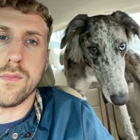 Alexis Self (@robot_deniro) 's Twitter Profile