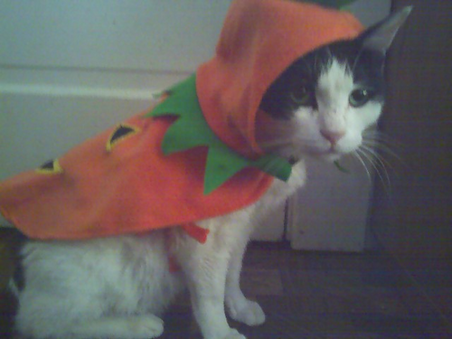 Loundagin's profile picture. Metrology Technician, geek, veteran