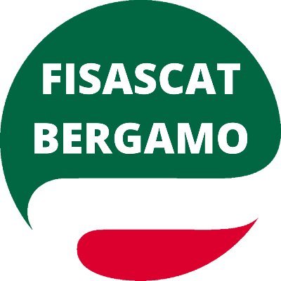 FisascatBergamo Profile Picture