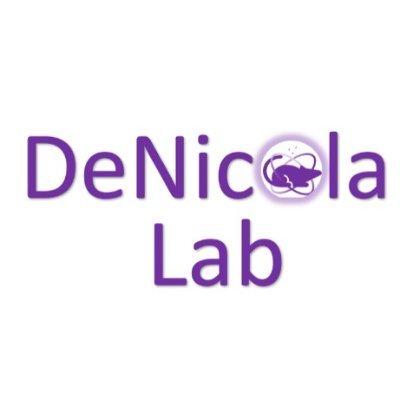 The DeNicola lab @moffittresearch. Account run by Gina DeNicola. Cancer metabolism. Redox biology. Come for the science, stay for the NRF2 jokes.
