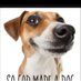 imbwa y'imana🐶🐶 (@imbwayimana2) Twitter profile photo imbwa y'imana🐶🐶 (@imbwayimana2) Twitter profile photo