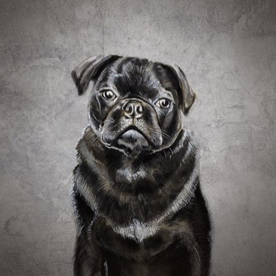 Lady_Pawz's profile picture. Was a rising star but now I shine bright💫 #powertothepugs #NFTcollection