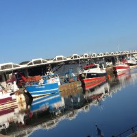 LCottegnies(@LCottegnies) 's Twitter Profile Photo