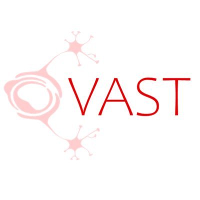 Vascular Training (VAST) Platform Profile